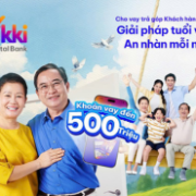 Tuổi hưu tự chủ, vay đến 500 triệu cùng Vikki