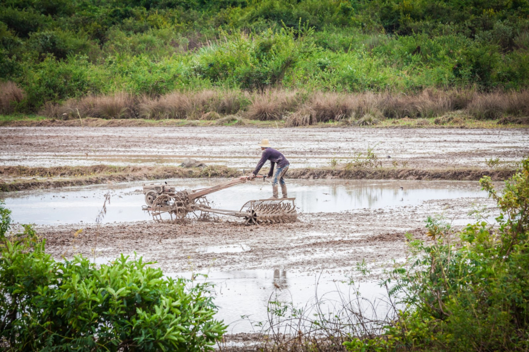 Nhu cầu chuyển đổi cơ cấu cây trồng, vật nuôi, mở rộng quy mô sản xuất hay cải tạo đất đai là một trong những vấn đề quan trọng với người nông dân.
