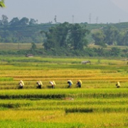 vay nông nghiệp ưu đãi