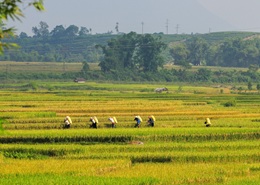 vay nông nghiệp ưu đãi